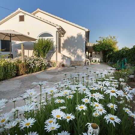 Cozy Apartment Josipa Privlaka (Zadar) Exterior foto